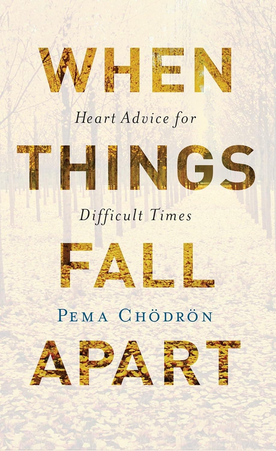 Cover of When Things Fall Apart