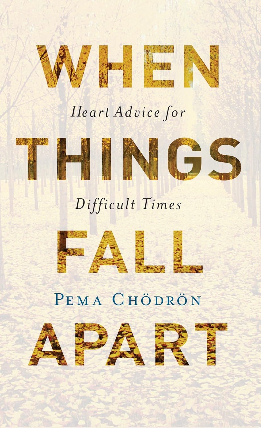 Cover of When Things Fall Apart
